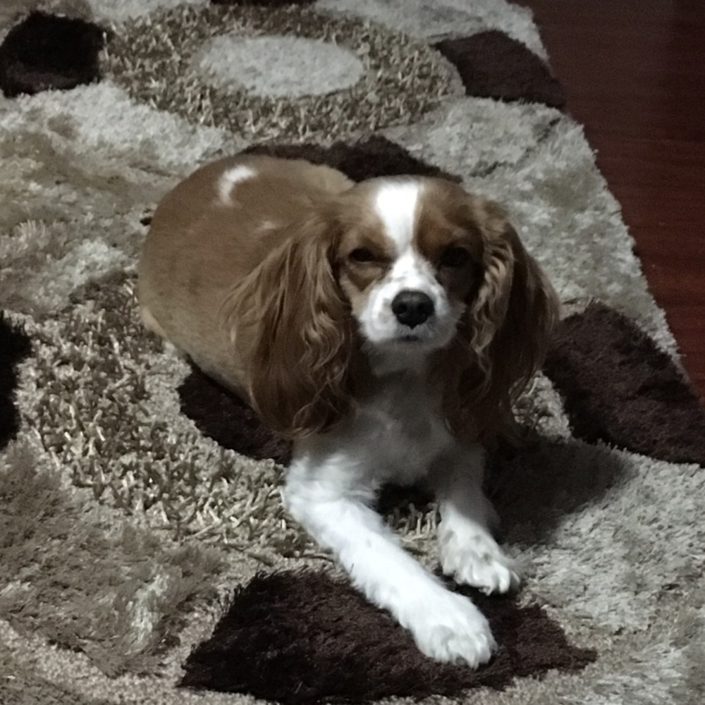 Meet your Posher, Jean